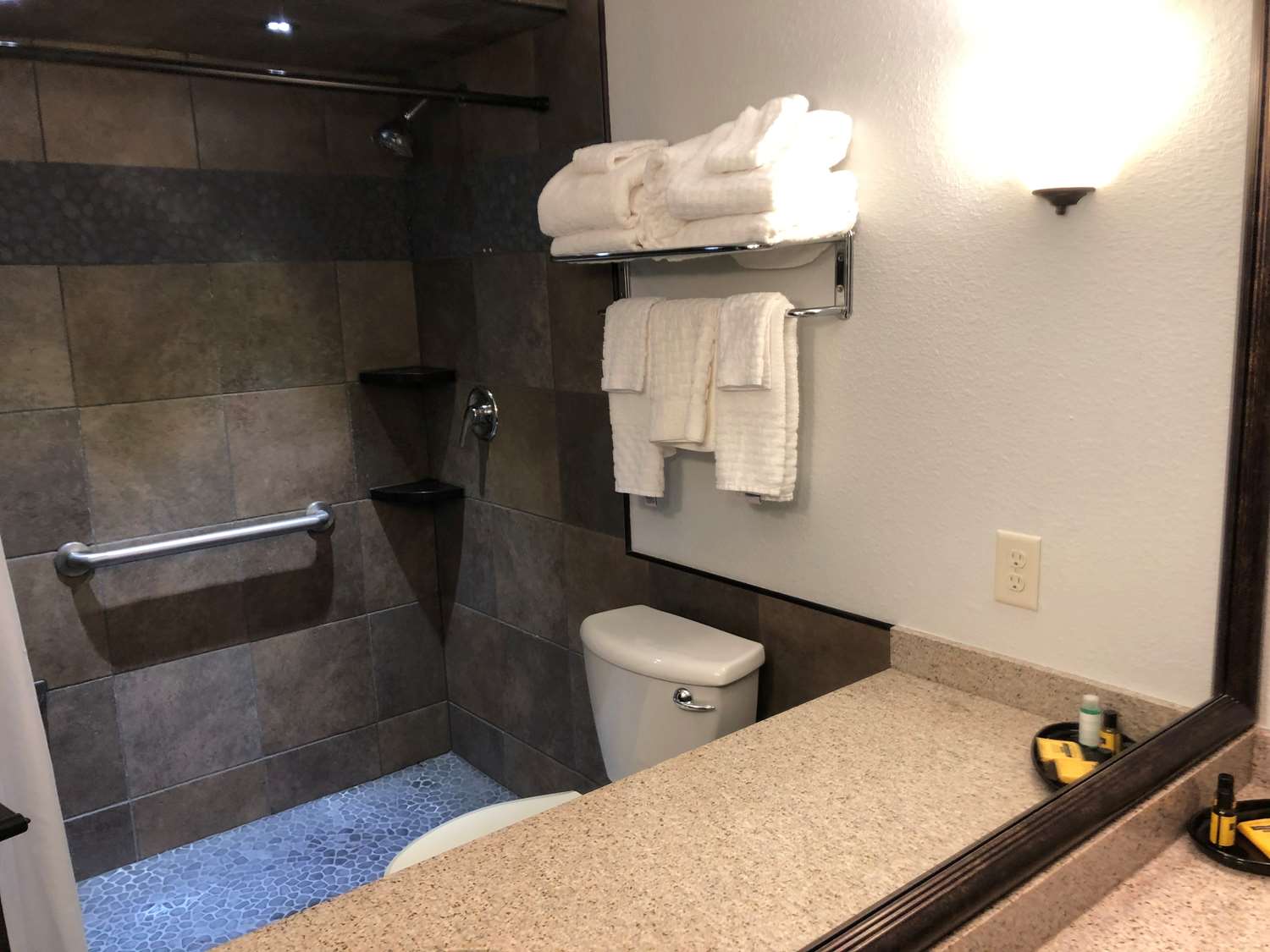 Suite-Walk-in-Shower